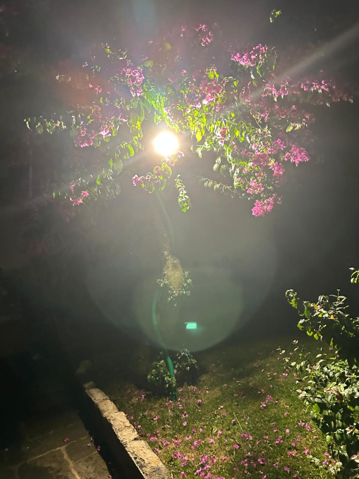 カペラス Solar Nossa Senhora Da Conceicaoヴィラ エクステリア 写真